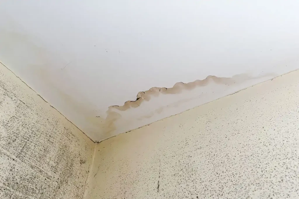 Aurèle d’humidité et moisissures noires causées par une fuite d’eau au plafond