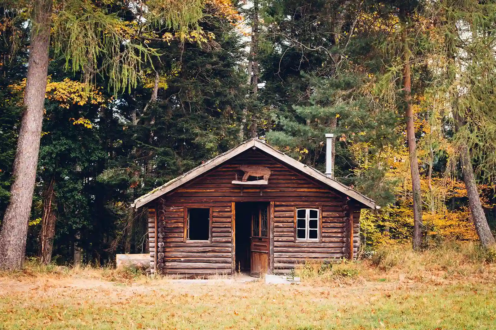 Comment isoler un chalet en bois pour profiter d’un confort durable