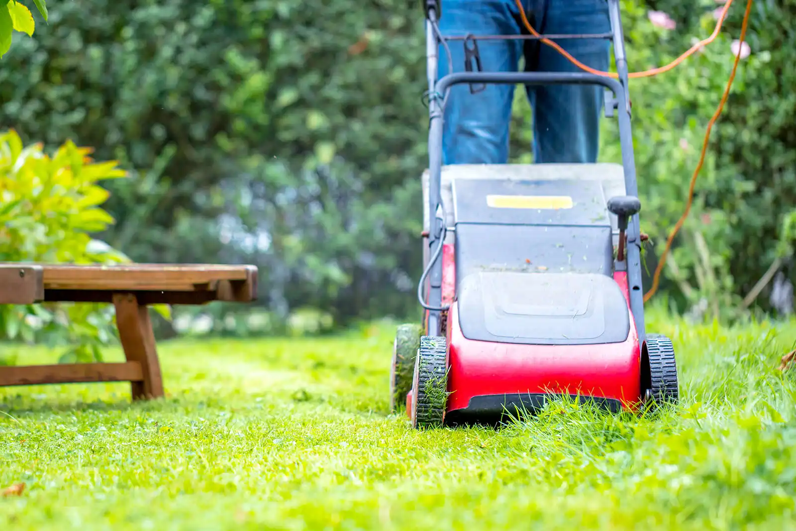 Peut-on tondre la pelouse le dimanche : la réponse pour les particuliers
