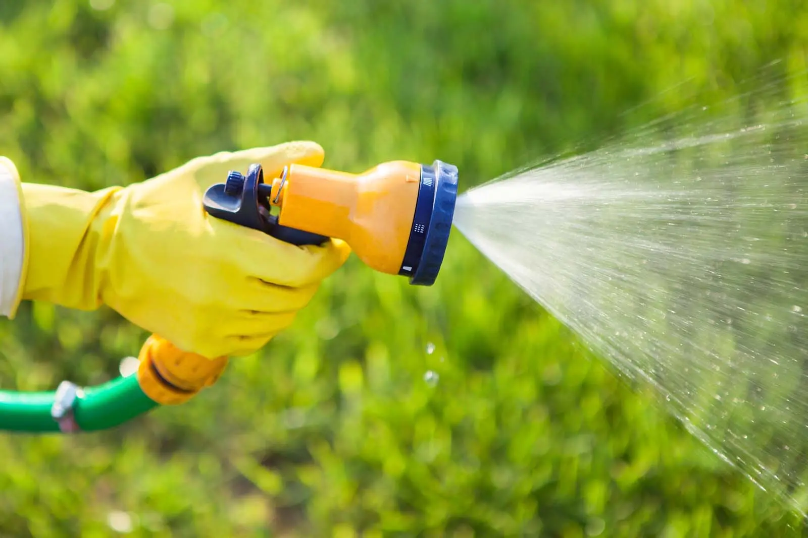 Arroser sa pelouse : quand et comment pour un gazon bien vert ?